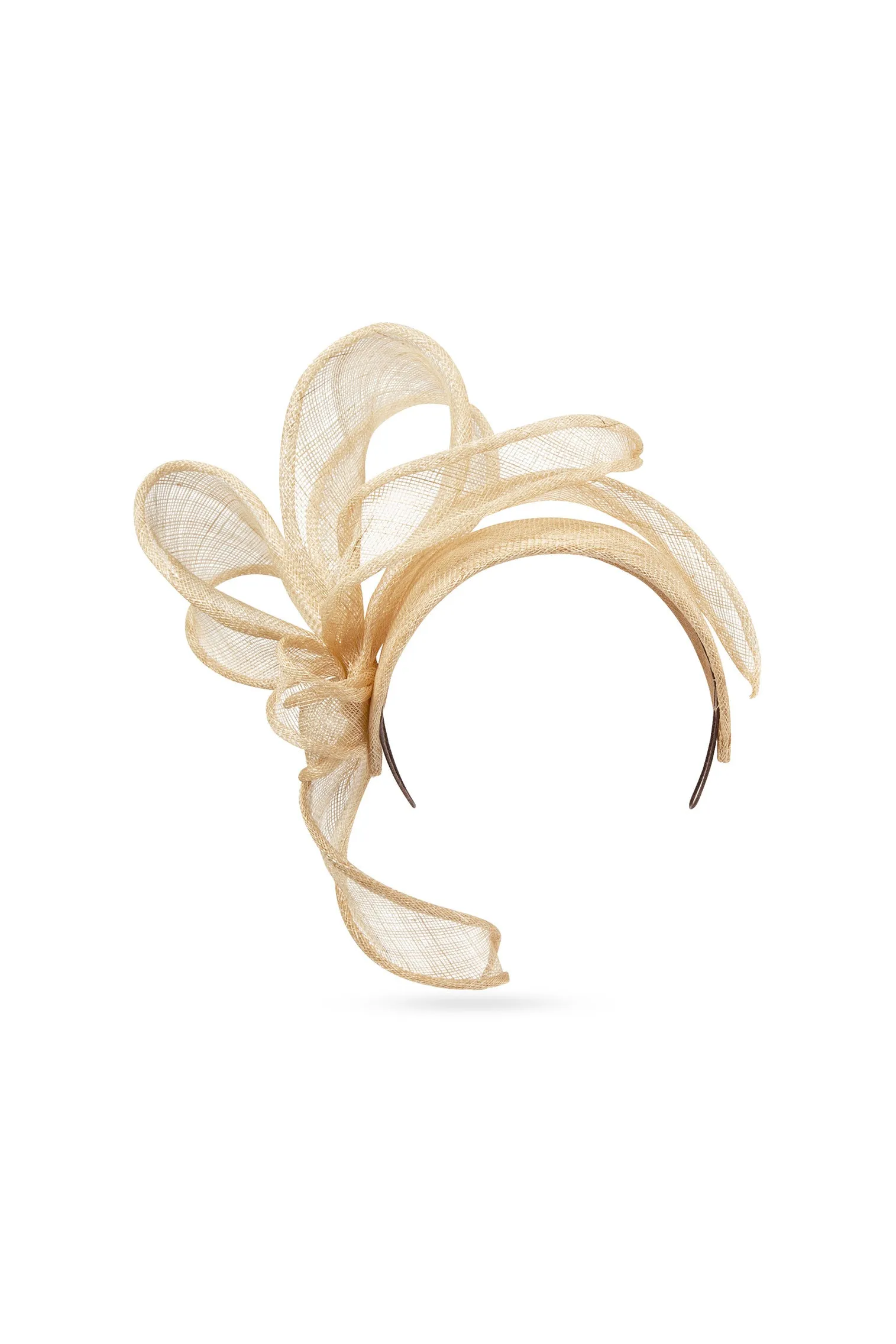 Rosemary Headband